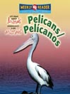 Pelicans/Pelícanos